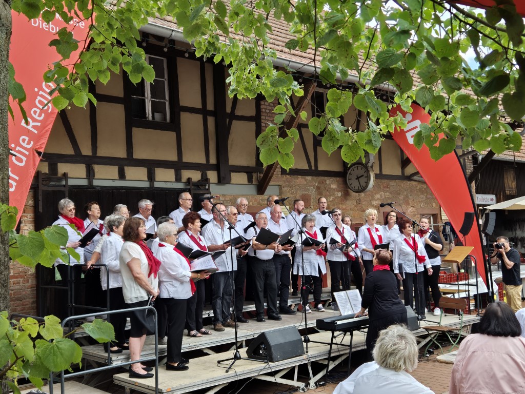 Musikfestival Gruberhof 2024